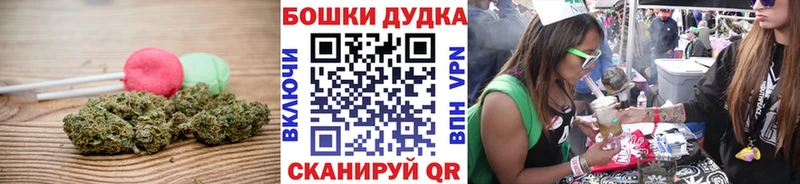 Купить  Гагарин  Canna-Cookies конопля 