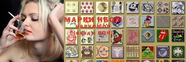 прущие грибы Магас